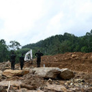 AFP_P353C.jpg