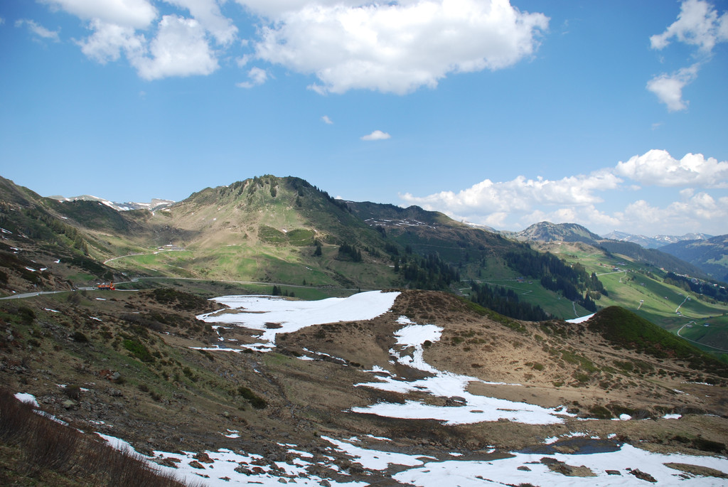 DSC_0319.JPG