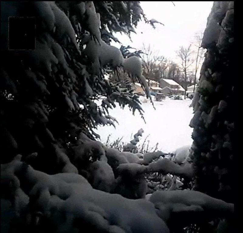 landscape_from_a_window.jpg