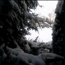 landscape_from_a_window.jpg