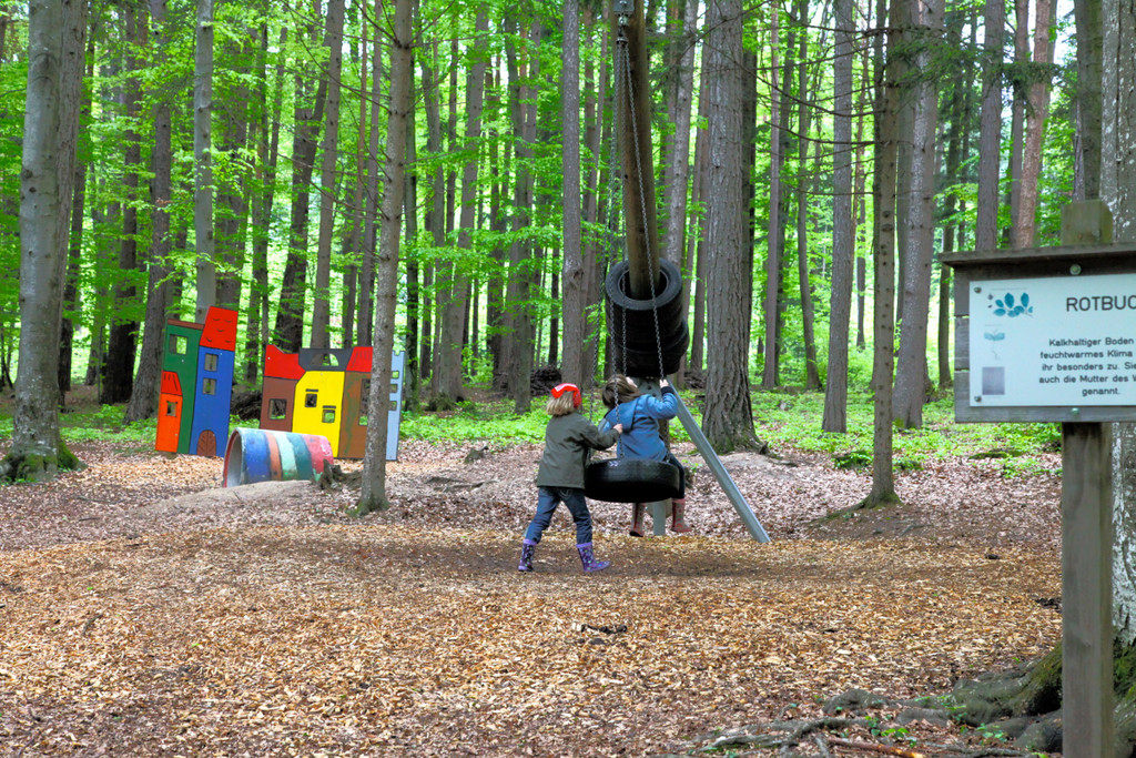 KOE_Wildpark Luchsnachwuchs 8.jpg