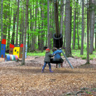 KOE_Wildpark Luchsnachwuchs 8.jpg