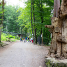 KOE_Wildpark Luchsnachwuchs 9.jpg
