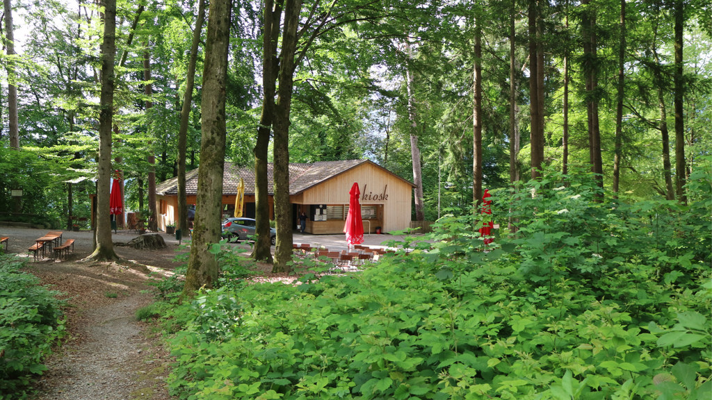 KOE_Wildpark Luchsnachwuchs 10.jpg