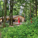 KOE_Wildpark Luchsnachwuchs 10.jpg
