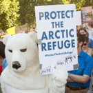 AFP_P64HI.jpg