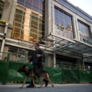 AFP_P65S2.jpg