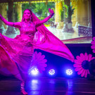 Concordia Ball 2017 - Wiener Rathaus - 02_06_2017-164.jpg