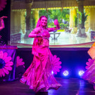 Concordia Ball 2017 - Wiener Rathaus - 02_06_2017-170.jpg