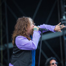 Rock in Vienna 2017: Fotos von Tag 02