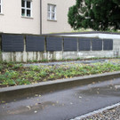 IMG_6361.JPG