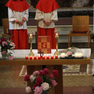 IMG_6373.JPG
