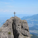 IMG_3442.JPG