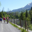 P1000323.jpg