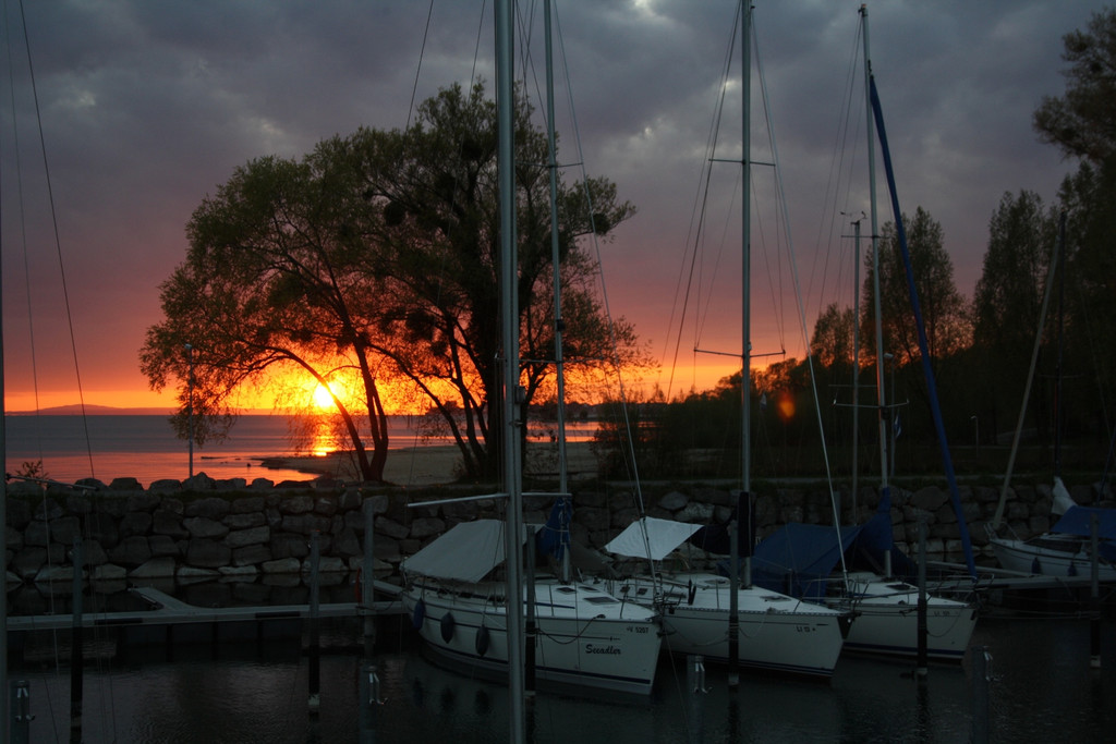 WEIN KOST am SEE Alte F__hre _1_.JPG