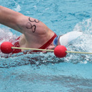 97.jpg