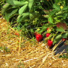 IMG_6500.jpg
