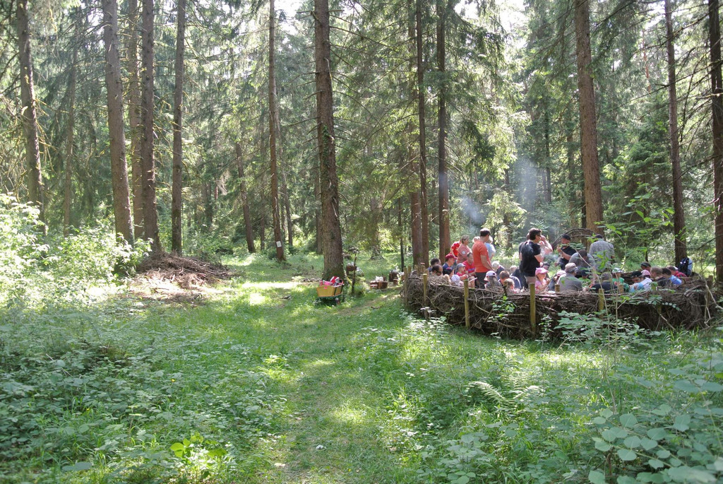 DSC_3115.JPG
