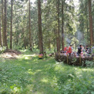 DSC_3115.JPG
