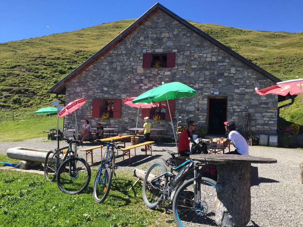 Alpe Hohe Kugel 2016_kam_ _6_.jpg