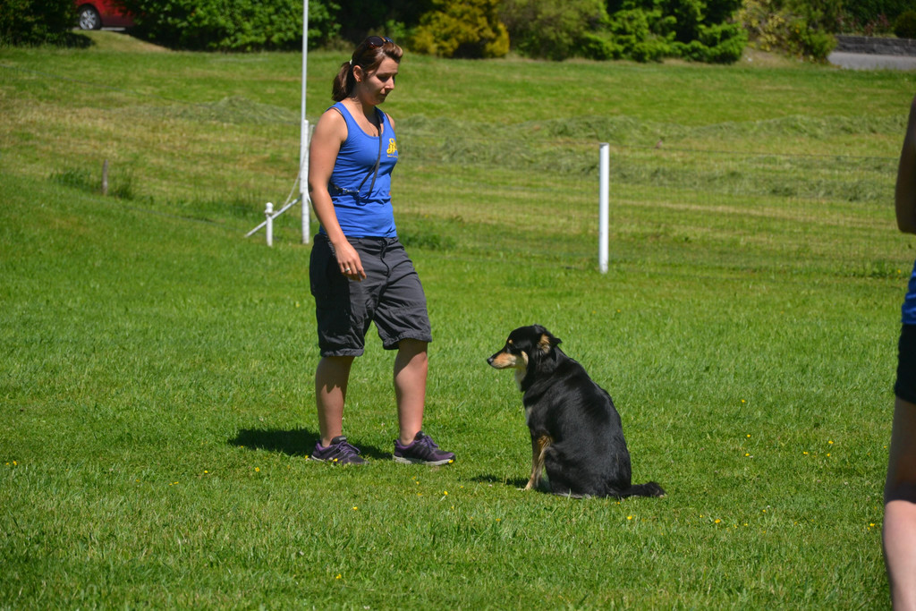 DSC_0212.JPG