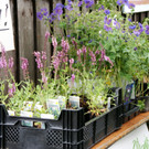 DSC00003.JPG