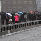 AFP_PA8E0.jpg