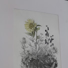 IMG_9013_jiw.jpg