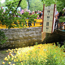 IMG_2972.JPG