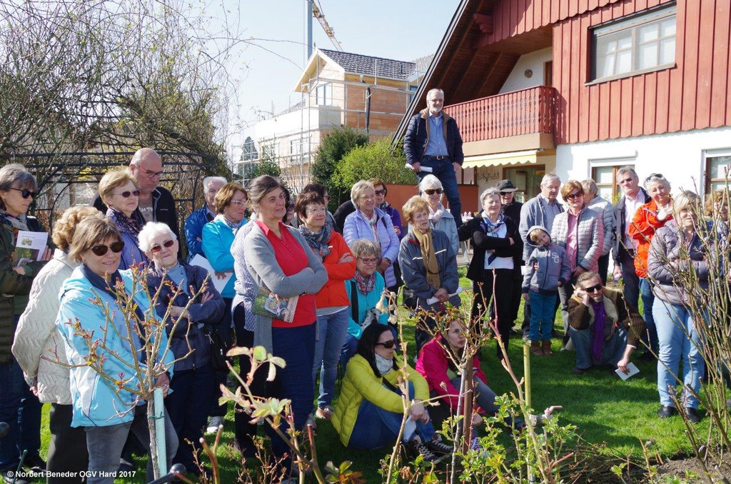 Rosenschnittkurs1_2017_041.jpg