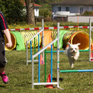 Agility