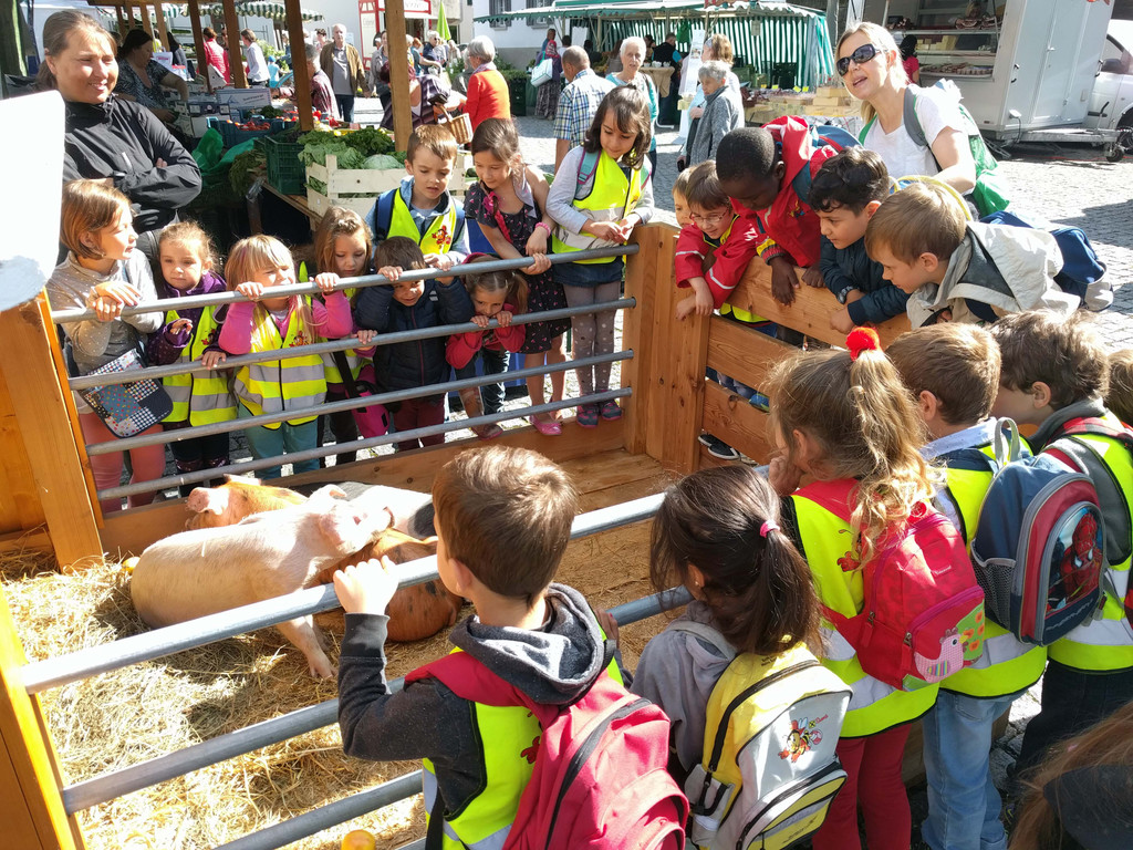 1_20170609_Kinder bestaunten die Ferkel vom Ringelschwanzschwein.jpg