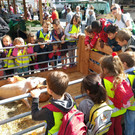 Marktfest war Besuchermagnet