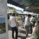 3_20170609_Marktfest am Rankler Wochenmarkt.jpg