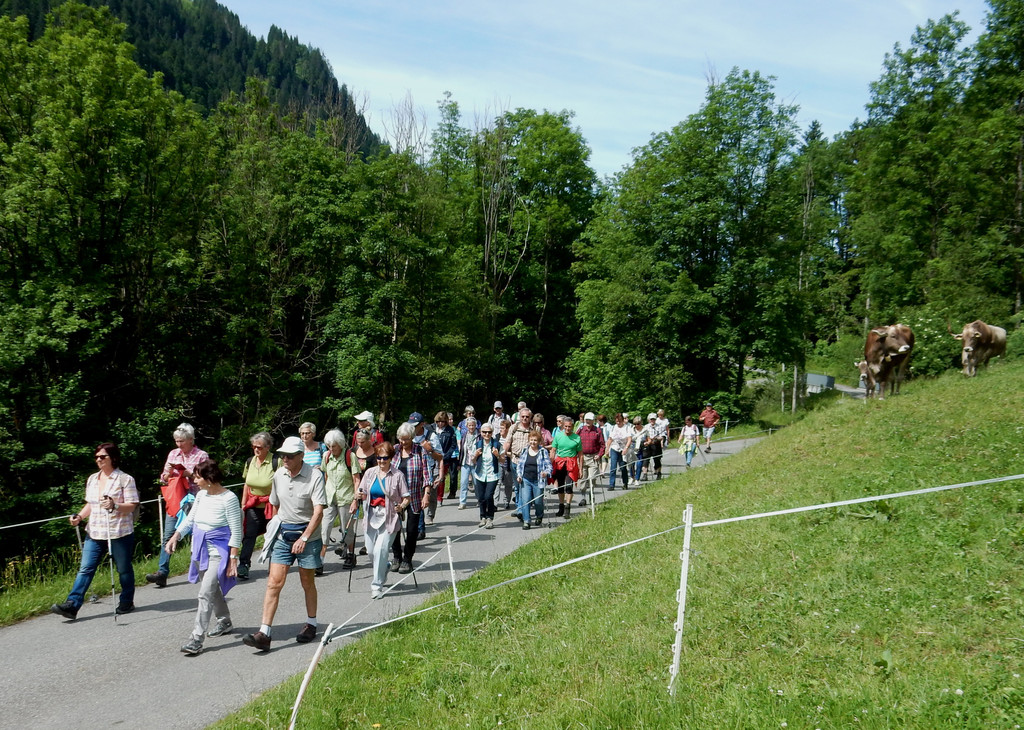 DSCN8355.JPG