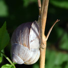 DSC_0002.JPG