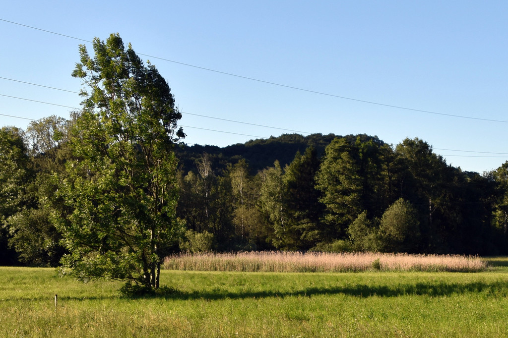 DSC_0004.JPG