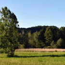 DSC_0004.JPG