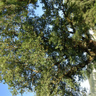 DSC_0035.JPG