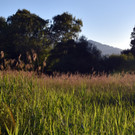 DSC_0074.JPG
