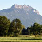 DSC_0078.JPG