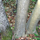 DSC_0972.JPG
