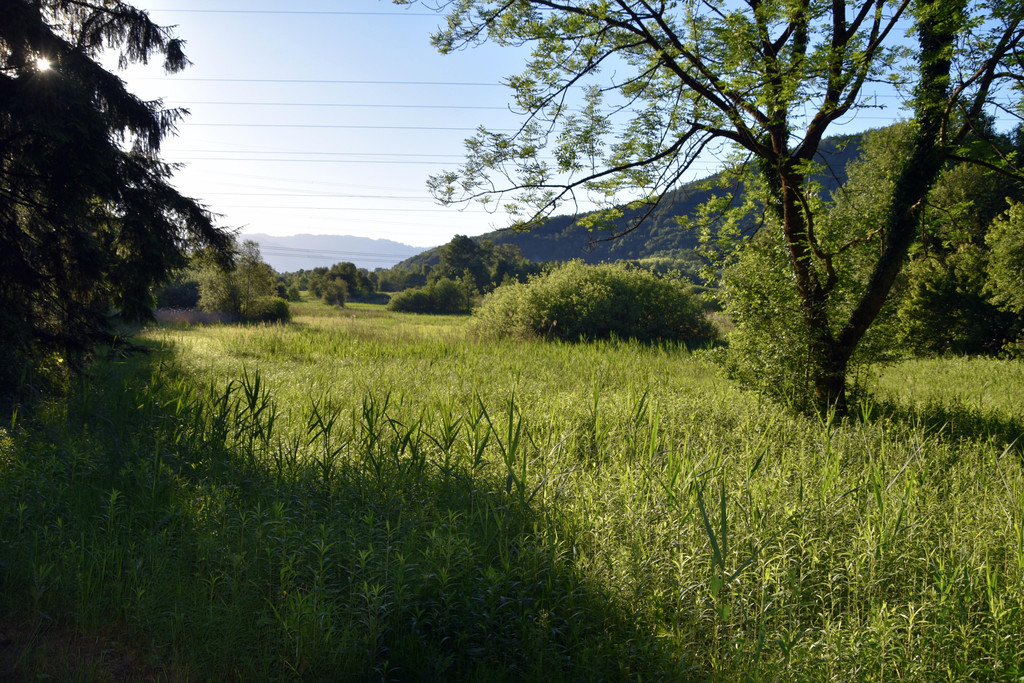 DSC_0997.JPG
