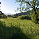 DSC_0997.JPG