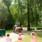 Bildschirmfoto 2017-06-10 um 10_52_40.png
