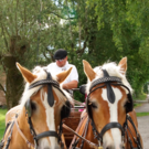 Bildschirmfoto 2017-06-10 um 10_52_36.png