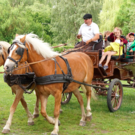 Bildschirmfoto 2017-06-10 um 10_52_29.png