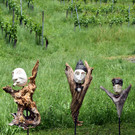 DSC_0155.JPG