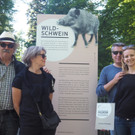 Ins Wildschweingehege geblickt    