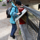 KOE_Wildpark Tierpate Wildschweinmaedchen 7.jpg